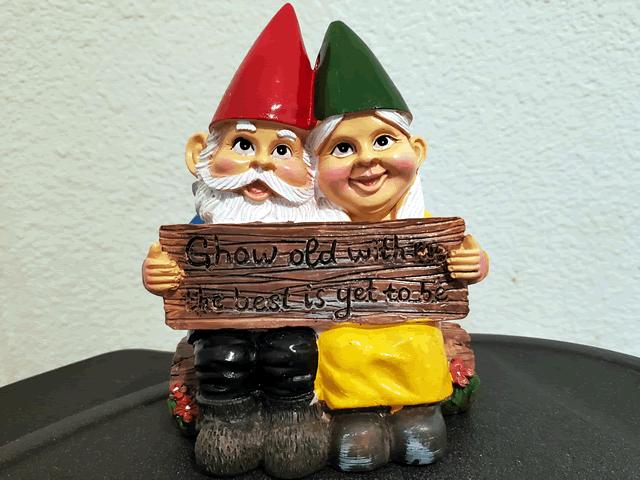 My Gnomes